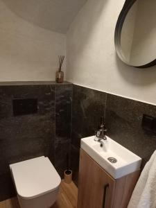 W łazience znajduje się umywalka, toaleta i lustro. w obiekcie Apartament Ostoja Beskidy I/9 w Szczyrku