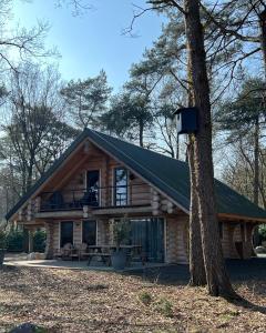 Cabaña de madera con porche y árbol en De Oosterburen, en Norg