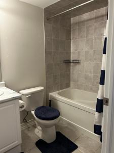 a bathroom with a toilet and a tub and a sink at The Tranquil Retreat in Toronto