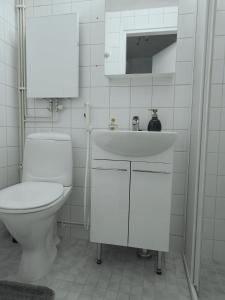 City Apartment في تامبير: حمام ابيض مع مرحاض ومغسلة