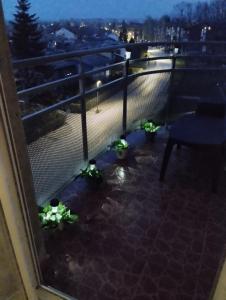 Balkón nebo terasa v ubytování Apartman Lenka