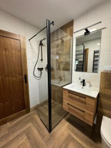 a bathroom with a shower and a sink at Na Kamieńcu domki in Rzyki