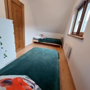 a small room with a bed and a green rug at Na Kamieńcu domki in Rzyki