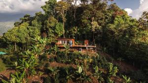 a house on top of a hill with trees at El Refugio in Quindío