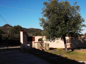 un árbol frente a una casa con una valla en Villa Gabriella, en Villa San Pietro