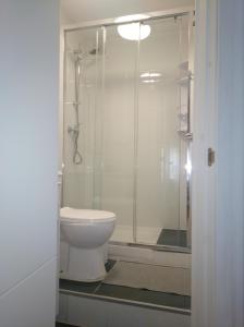 La salle de bains est pourvue de toilettes et d'une douche en verre. dans l'établissement Estudio. Sada, A Coruña., à Sada