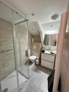 a bathroom with a shower and a toilet and a sink at Joli appartement 10min ST et Soitec 5 min du touvet in La Terrasse