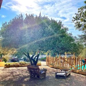 a tree with a rainbow in the middle of it at vestagaia Chambres d'hôtes in Saint-Gilles