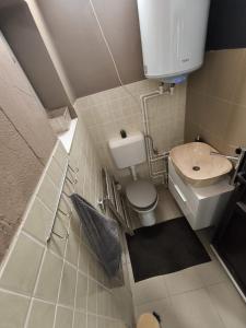 uma pequena casa de banho com WC e lavatório em Morrison Apartments em Miercurea Ciuc