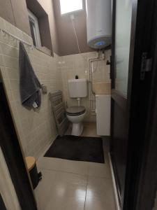 a small bathroom with a toilet and a sink at morrison apartments in Miercurea-Ciuc