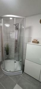 a glass shower in a bathroom with a plant in it at Bacchus in Hatzenport