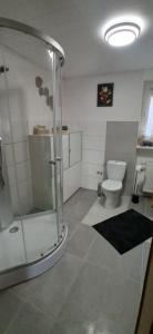 a bathroom with a shower and a toilet at Bacchus in Hatzenport