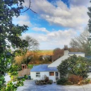 uma casa branca com um telhado azul em Heart of Kernow Holidays em Bugle