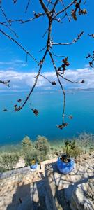 dos jarrones azules sentados en una cornisa cerca del agua en Linamare, en Kiveri