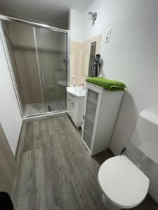 a bathroom with a shower and a toilet and a sink at Tutti Apartman in Balatonlelle