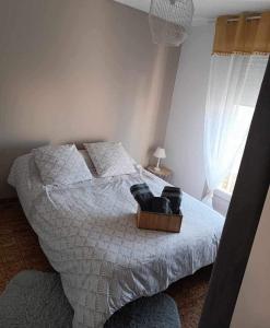 a bedroom with a bed with a wooden box on it at La coquille - Appartement spacieux 45m2, T2 à 1min de la plage - WIFI in Valras-Plage