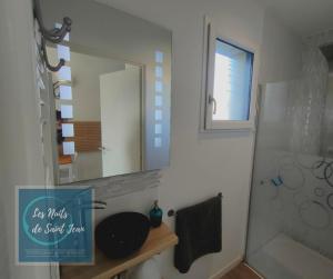 W łazience znajduje się lustro, umywalka i prysznic. w obiekcie Les Nuits de Saint Jean w mieście Saint-Jean-Saint-Maurice-sur-Loire