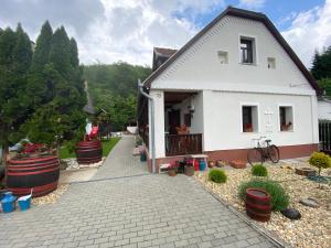 a white house with a pathway leading to it at HUTA-TÚRA 42 Vendégház in Háromhuta