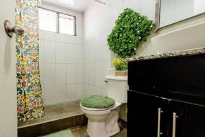 a bathroom with a toilet with a green seat at Habitaciones Smith in San José +8 photos