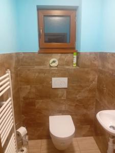 Útulný Domček Privat Bedrich的一间浴室