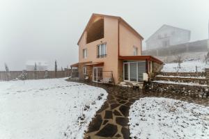 a house in the snow in a yard at Nectar Villa Mukhadtskaro / ვილა ნექტარი მუხადწყარო in Mtskheta