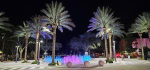 a park with palm trees and a fountain at night at The Lofts on Clematis 404 Downtown West Palm Beach in West Palm Beach