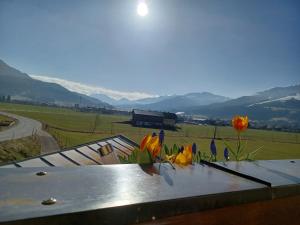 una mesa con flores y vistas a las montañas en Lampererhof en Sankt Johann in Tirol