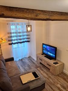 ein Wohnzimmer mit einem Sofa und einem Flachbild-TV in der Unterkunft logement T2 neuf - centre-ville in Parthenay