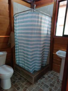 y baño con cortina de ducha y aseo. en Cabaña la granja, en Liberia