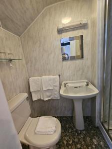ブレコンにあるザ ビーコンズ ゲストハウスの白いバスルーム(洗面台、トイレ付)