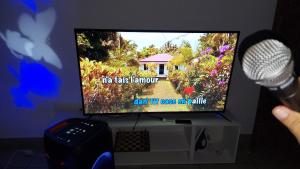 TV a/nebo společenská místnost v ubytování Chez Lauret, à la Montagne