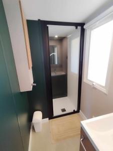 uma casa de banho com um espelho e um lavatório em Rêve de Jade - all inclusive em Lattes