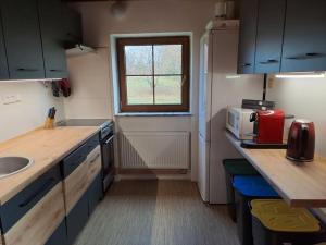 a small kitchen with a sink and a window at Chalupa František Filipovice in Filipovice