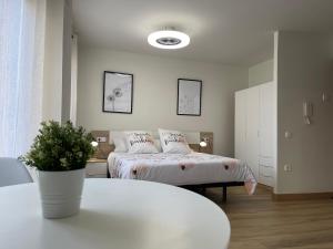 a bedroom with a bed and a table in front of it at Casa Albillo in Tudela