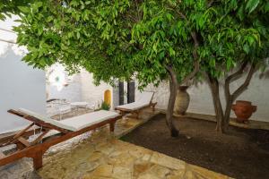 A garden outside LIVIN Hydra Garden Suite
