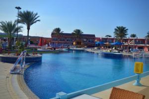 - une grande piscine dans un complexe avec des palmiers dans l'établissement MG Alexander The Great Hotel, à Marsa Alam