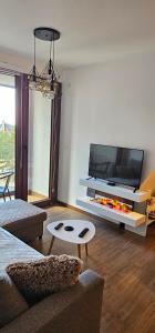 TV o dispositivi per l'intrattenimento presso Borovi 24