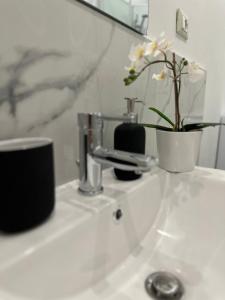un lavandino in bagno con una pianta in vaso di Mokai Torino Centro a Torino Altre 16 foto
