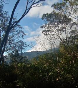 聖何塞的住宿－Cabina de montaña，透过树林欣赏山脉美景