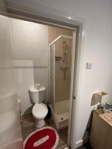 a small bathroom with a toilet and a shower at Suite double room in Tottenham. in London