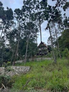 a house in the middle of a field with trees at Los Helechos 5M in Jarabacoa