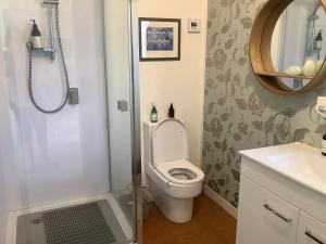 a bathroom with a shower and a toilet and a sink at Wood Pigeon Cottage Pet Friendly Free Breakfast Hauraki Rail Trail 2kms in Waikino