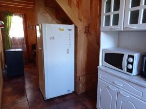 a kitchen with a refrigerator and a microwave at Departamento Erica 2 in Panguipulli