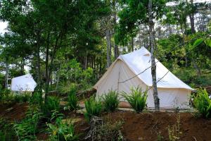 namiot w środku lasu w obiekcie Konoha Măng Đen w mieście Kon Von Kla