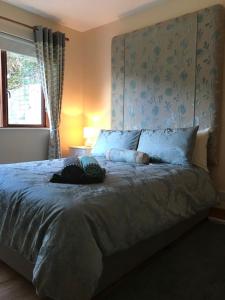 a bedroom with a bed with a headboard and a window at Westport Retreat Apartment in Westport