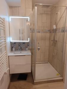 a bathroom with a shower and a sink and a mirror at PARIS La Défense Appt 3 Pièces in Nanterre