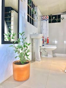 uma casa de banho com um WC, um lavatório e um vaso de plantas em COVEÑITAS Glamping con Aire Acondicionado y Piscina tipo PLAYA, Máximo 32 Personas em Melgar
