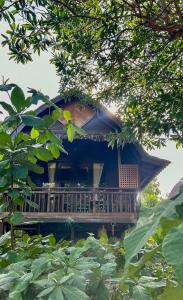 a house with a deck in the middle of trees at Golden Chenang Village in Pantai Cenang