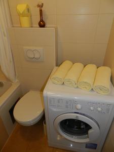 La salle de bains est pourvue d'un lave-linge et d'un sèche-linge. dans l'établissement Wile West Apartments, à Vienne