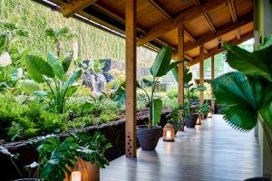 a row of potted plants on a wooden deck at 1 Hotel Hanalei Bay in Princeville